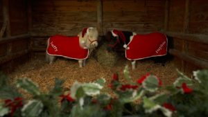 Shetland Christmas jumper