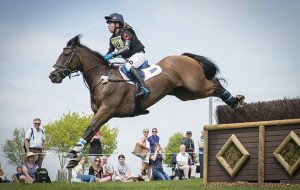Willberry Wonder Pony sale