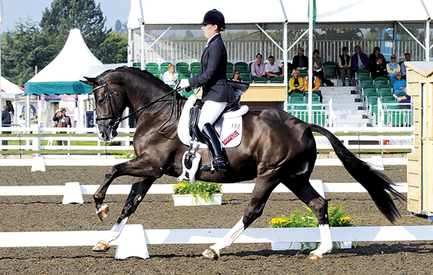 180 , charlotte dujardin , valegro