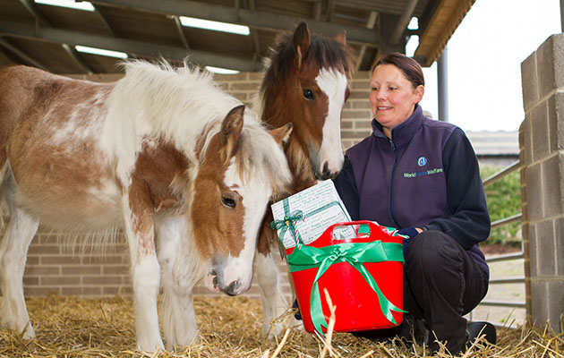 rosie-and-jim-receiving-christmas-gifts