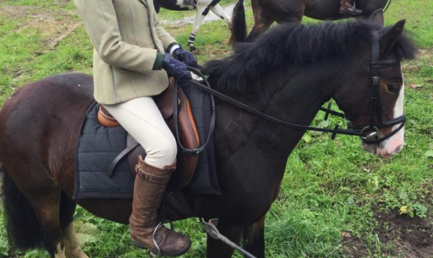 screen-shot-2016-12-05-at-18-05-29