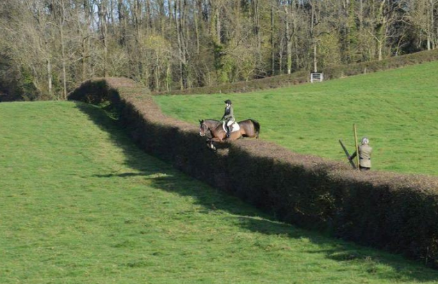 screen-shot-2016-12-05-at-18-31-15