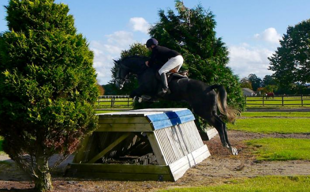 screen-shot-2016-12-13-at-14-15-35