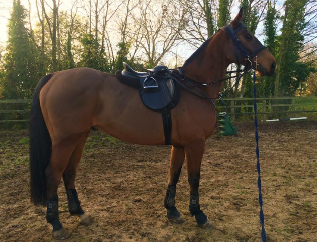 screen-shot-2016-12-13-at-14-46-22