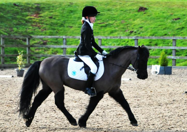 screen-shot-2016-12-20-at-15-31-22