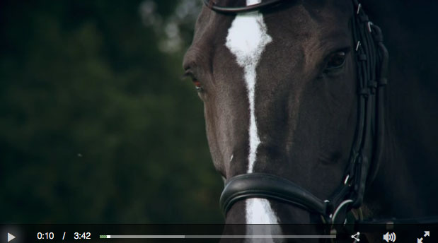 screen-shot-2016-12-23-at-12-05-56