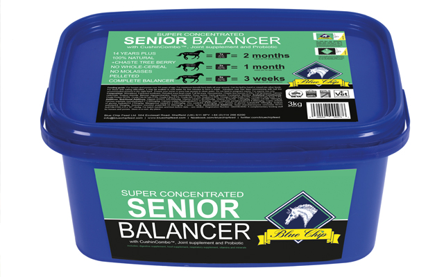 winter-vet-feature-image