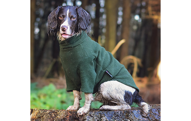 dog-jumper-5