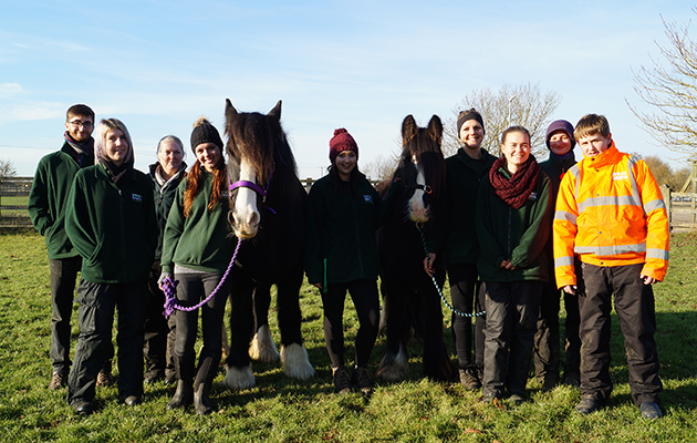 redwingshorsesanctuary_39533232450