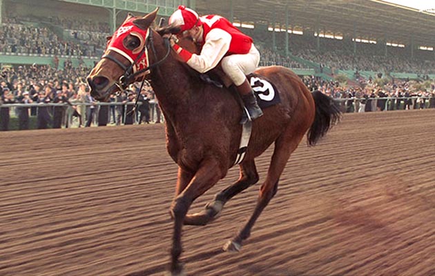 seabiscuit-2-682