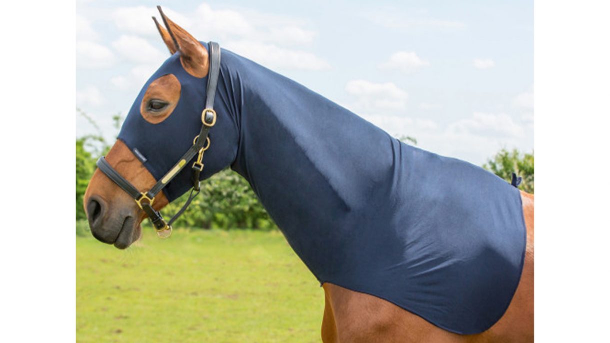 Best hoods for horses for use before a show Horse & Hound