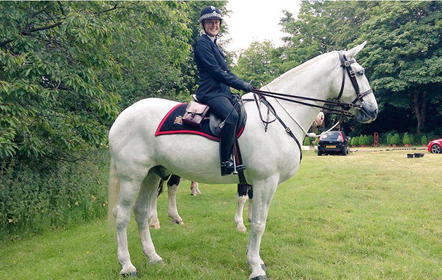 police horse samson