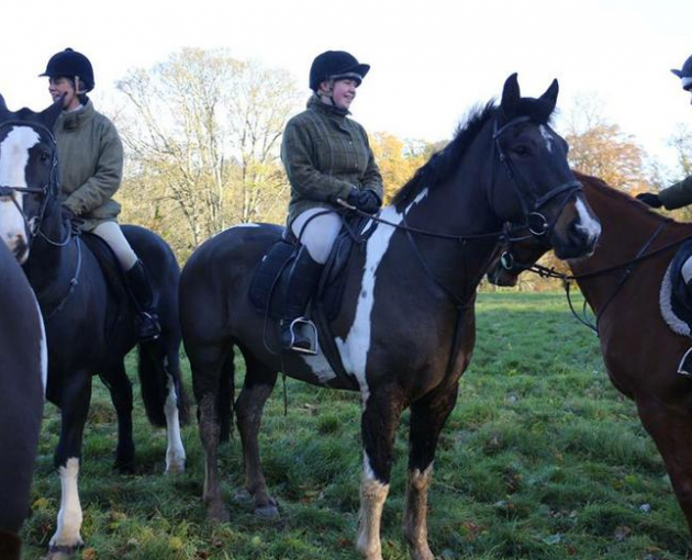 screen-shot-2017-01-03-at-12-33-12