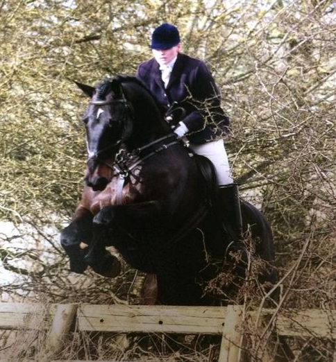 screen-shot-2017-01-03-at-15-08-44