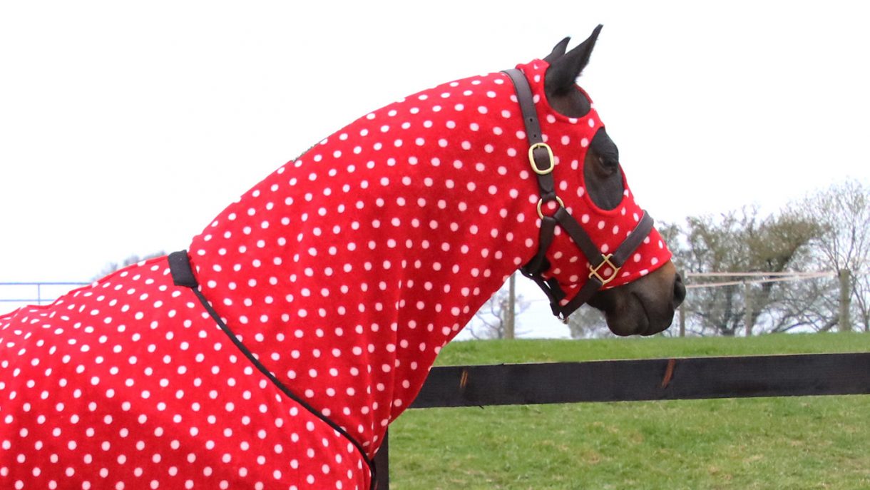 How to stop mane rubbing on rugs to help protect your horse