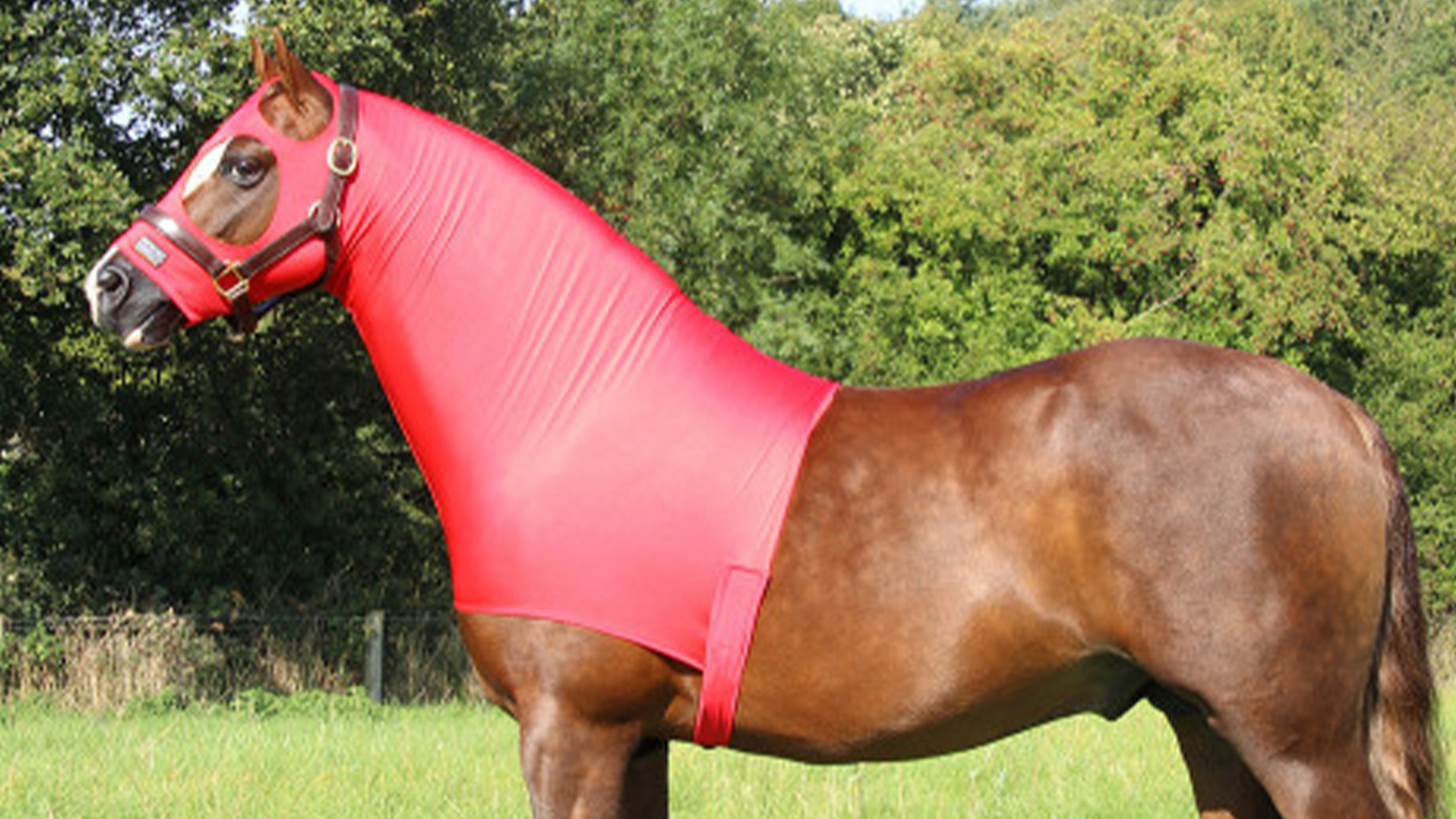 Supreme Products Lycra hood for horses