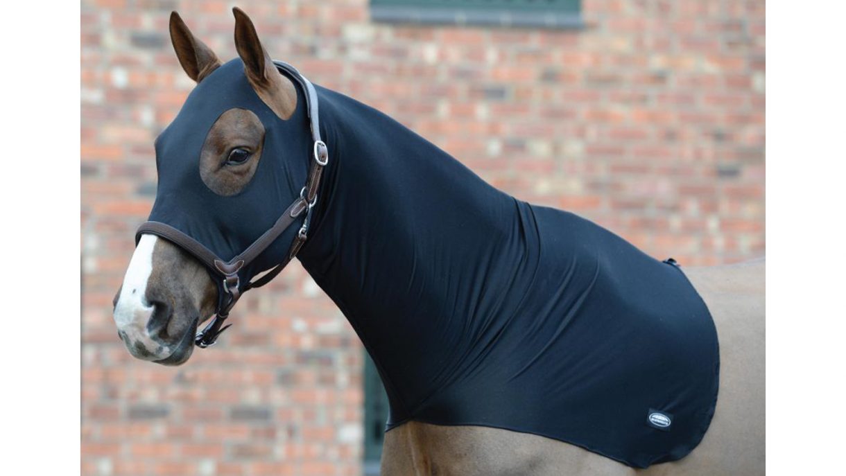 Best hoods for horses for use before a show Horse & Hound