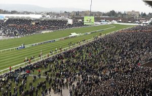 cheltenham tape