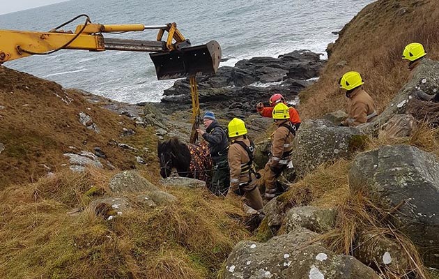 Horse cliff rescue