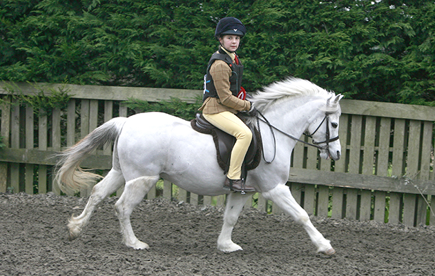 105  Vennobos Pearly King  Rider Soffia Cynwyl, 11yrs.