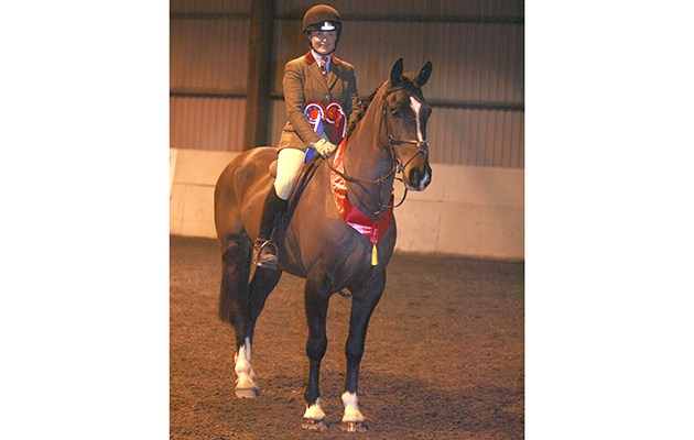 Radar Knight  Rider Olivia Bowen Winner novice plaited 15hh WHP, novice champion and reserve supreme