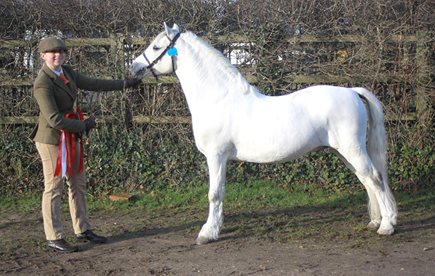 has this come through ?????