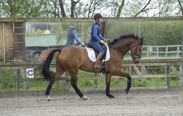 Dressage lesson at Littleton Manor - Steph Lord riding