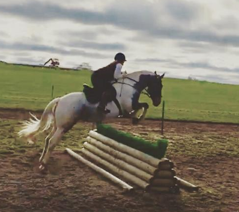 mother/daughter share horses for sale