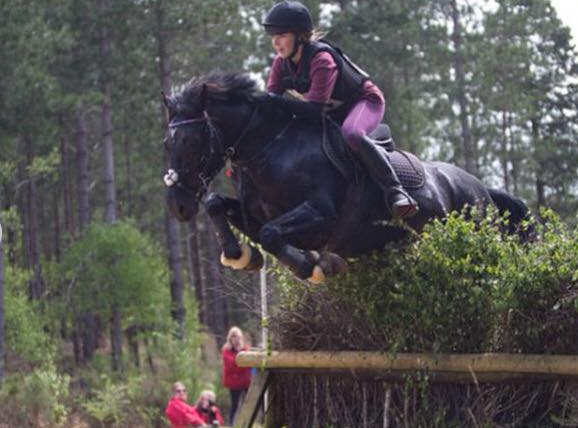 mother/daughter share horses for sale