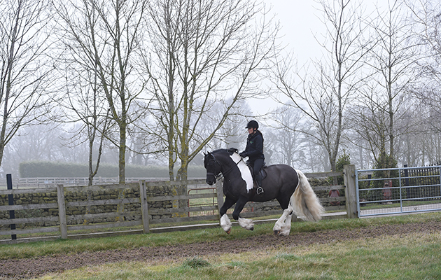 Michaela Wood riding Login Lucky Lad at Hill Top Farm in the village of Birstwith near Harrogate in North Yorkshire in the UK; on 27th January 2017