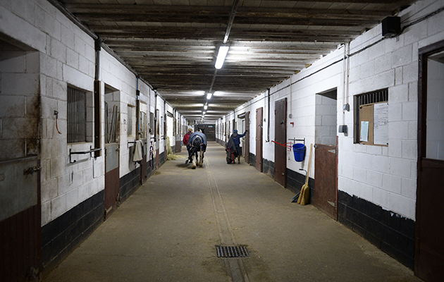 Some of the stables at Hill Top Farm, the home of Team Wood Show Horse in the village of Birstwith near Harrogate in North Yorkshire in the UK; on 27th January 2017