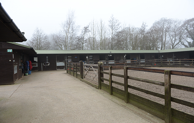 Some of the stables at Hill Top Farm, the home of Team Wood Show Horse in the village of Birstwith near Harrogate in North Yorkshire in the UK; on 27th January 2017