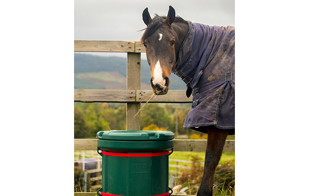 Hay Feeders That Deliver Forage Naturally In The Field And Stable
