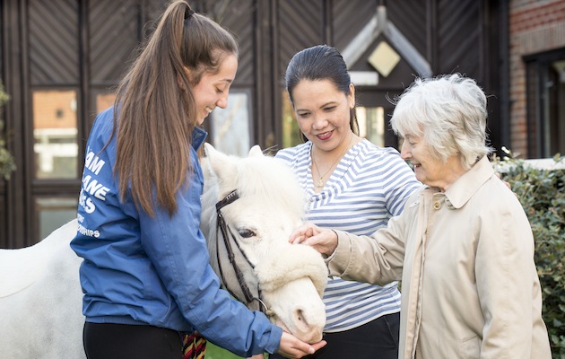 pony therapy