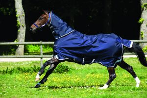 Which rug should I put on my horse? HW SS10 Rugs - Hviderup Sweden