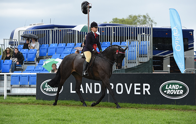 Hayley Patterson riding BANKSWOOD SAVOIR FAIRE, during the Amateur Hack Class at the Royal Windsor Horse Show in the private grounds of Windsor Castle in Windsor in Berkshire in the UK between 10th-14th May 2017