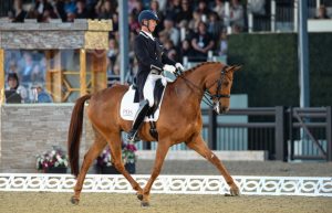 Carl Hester rides Barolo at the 2017 Royal Windsor Horse Show