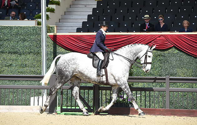 Jayne Ross riding BLOOMFIELD EXCELSIOR, during The Cuddy Hunter Championship at the Royal Windsor Horse Show in the private grounds of Windsor Castle in Windsor in Berkshire in the UK between 10th-14th May 2017