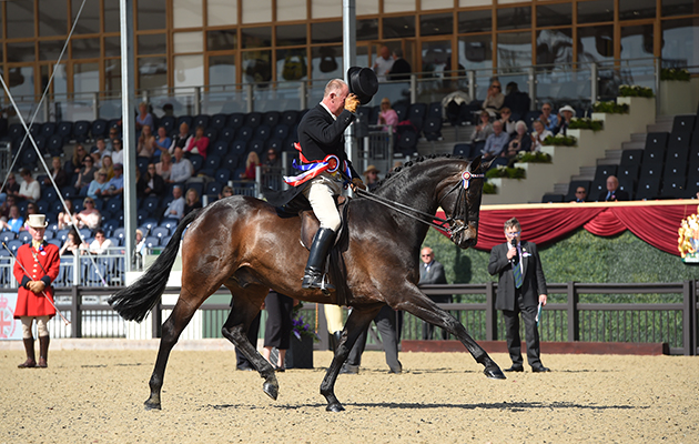 Allister Hood riding DIAMONDS ARE FOREVER, during the Riding Horse Championship at the Royal Windsor Horse Show in the private grounds of Windsor Castle in Windsor in Berkshire in the UK between 10th-14th May 2017