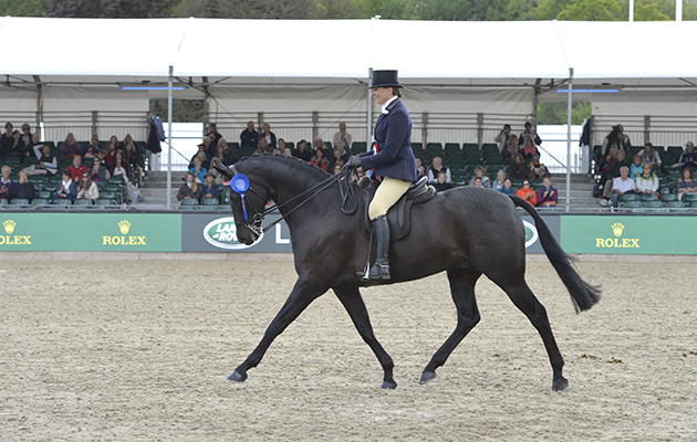 Jo Bates riding ELUSIVE, during Count Robert Orssich Hack Championship at the Royal Windsor Horse Show in the private grounds of Windsor Castle in Windsor in Berkshire in the UK between 10th-14th May 2017