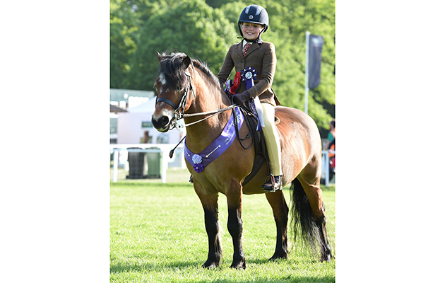 Joanne Parker riding PANTMANR JUST-SO, during Senior Ridden Championship at the Royal Windsor Horse Show in the private grounds of Windsor Castle in Windsor in Berkshire in the UK between 10th-14th May 2017