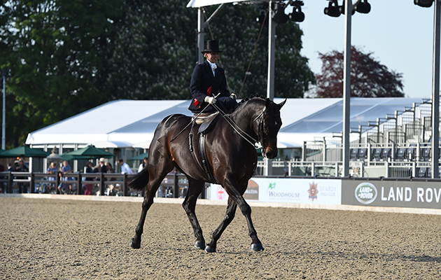 Esther Rostron riding SEABOURNE SILENT VALLEY, during The Alan Ross Ladies Hunter Championship at the Royal Windsor Horse Show in the private grounds of Windsor Castle in Windsor in Berkshire in the UK between 10th-14th May 2017