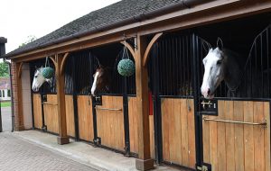Simon and Natalie's new stable, Walnut House, in the village of Threekingham near Seaford in the county of Lincolnshire in the UK between 10th-14th May 2017