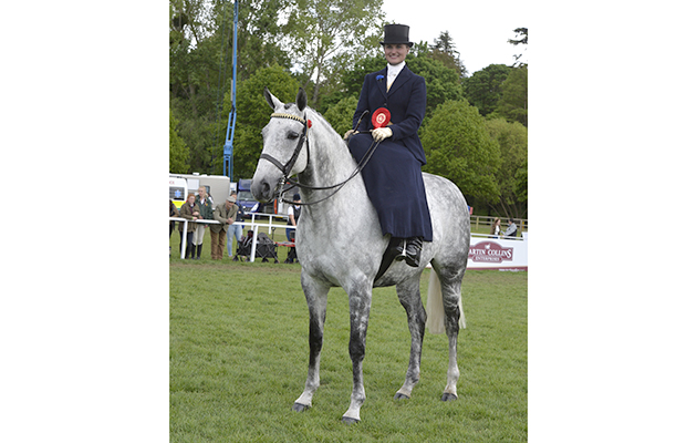 Amelia Bevan riding TIGER OATS , during Ladies Show Horse at the Royal Windsor Horse Show in the private grounds of Windsor Castle in Windsor in Berkshire in the UK between 10th-14th May 2017