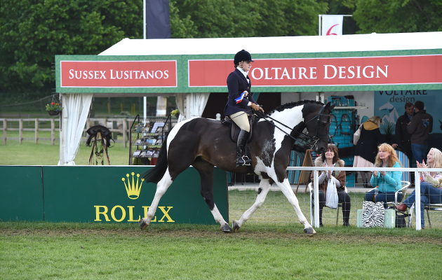 Miranda Wallace riding VOLATIS ORIANA, during Coloured Ridden Championship at the Royal Windsor Horse Show in the private grounds of Windsor Castle in Windsor in Berkshire in the UK between 10th-14th May 2017