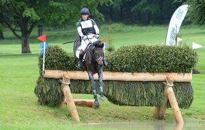 Simon Grieve riding DRUMBILLA METRO during the cross country phase of the CCI*** at the Equitrek Bramham International Horse Trials, near Weatherby in Yorkshire in the UK between 8th-11th June 2017