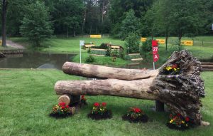 Luhmühlen cross-country course