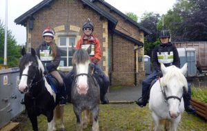 Man V Horse