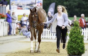 Luhmuhlen trot-up Libby Seed What A Catch