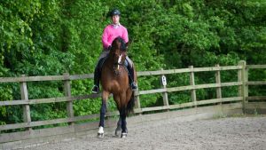 A horse and rider demonstrating a good shoulder-in